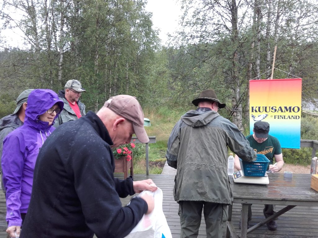 Kitkajoen perinteisessä kalakisassa saatiin punnittavaksi asti tällä kertaa vain harjuksia.