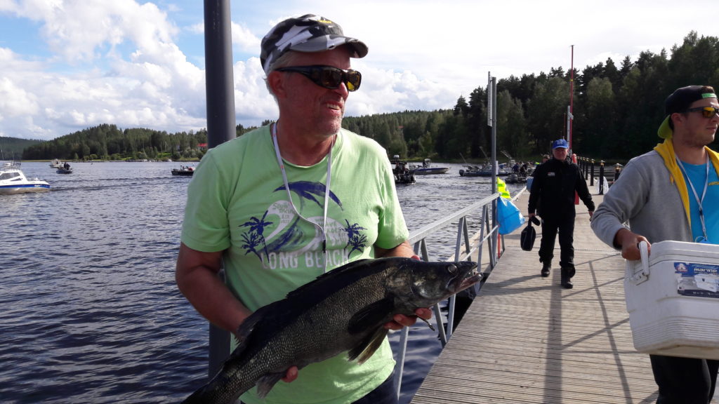 Kisan suurin 4,367-kiloinen kuha. Saamamiehenä Ari Rimmi.